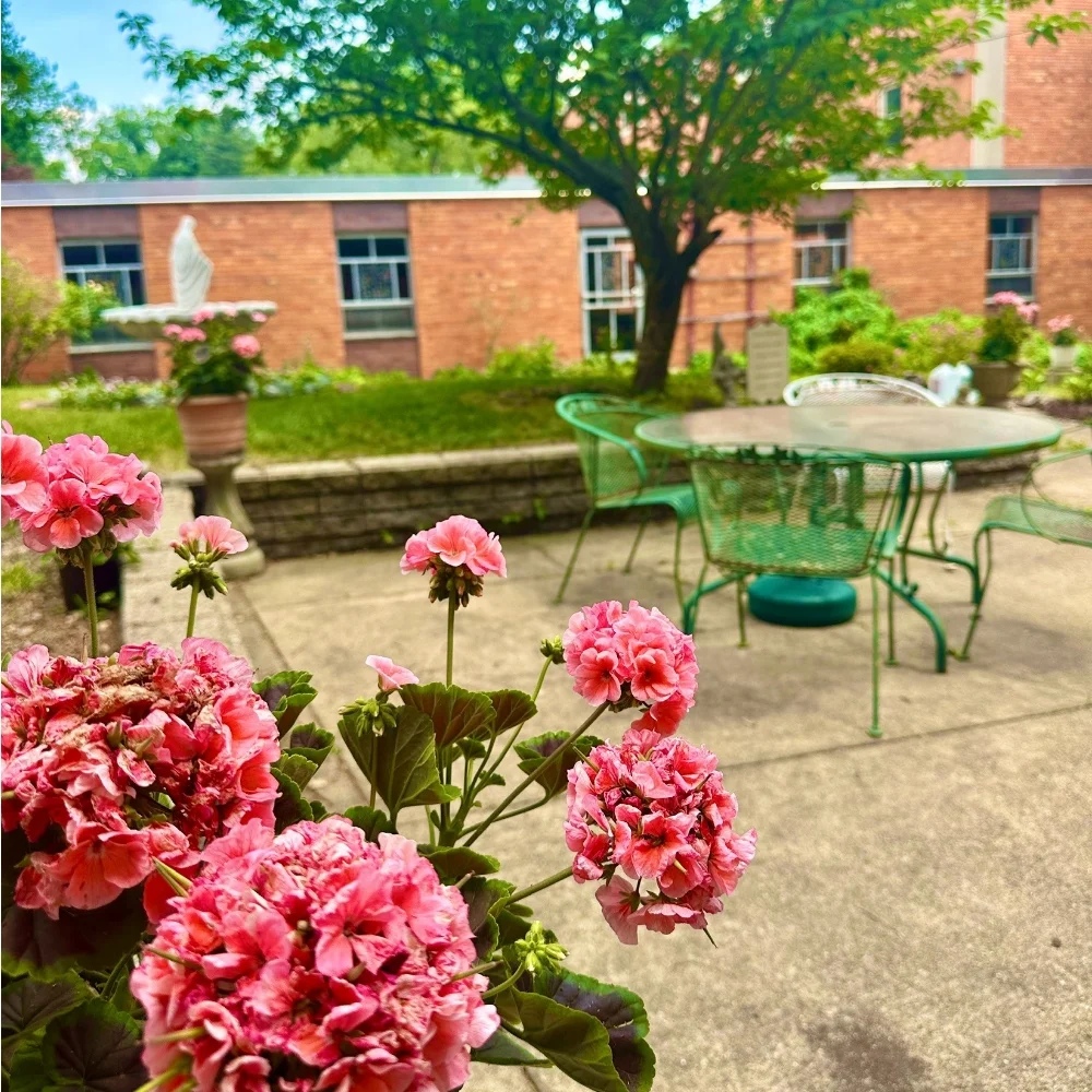 SPC garden and patio