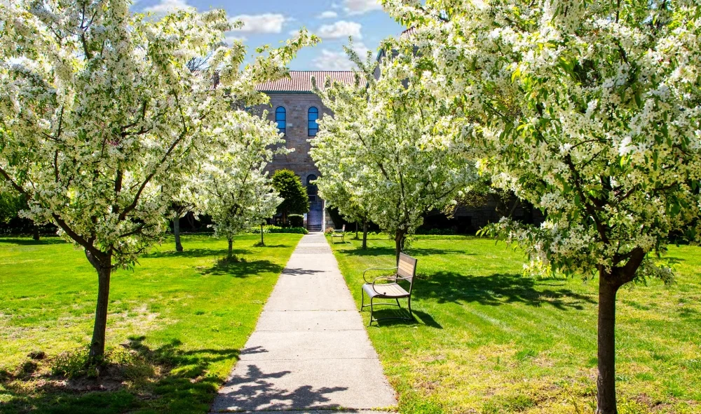 TBP garden pathway