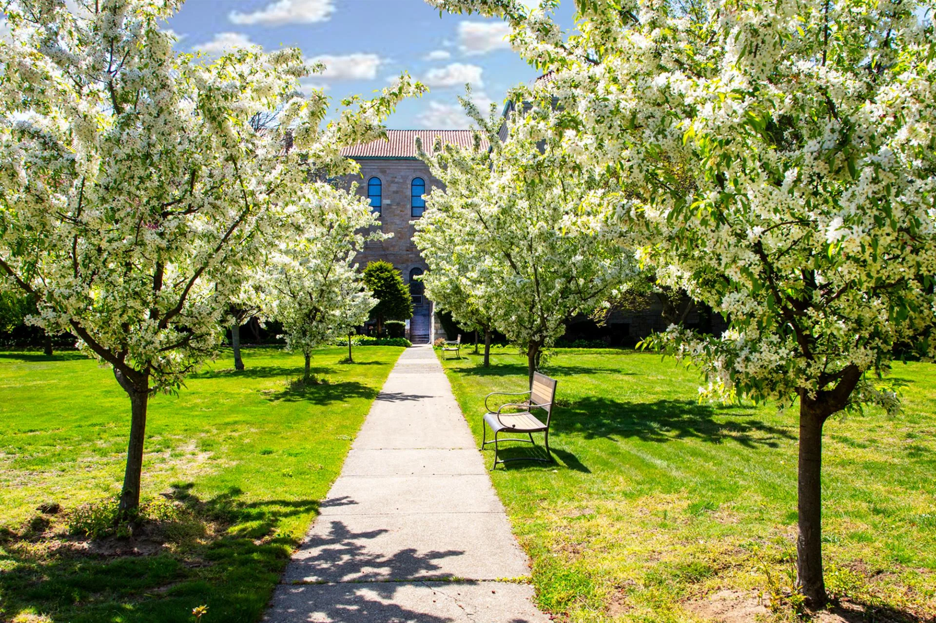 outside garden path