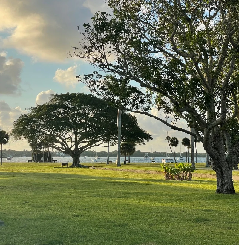 campus yard and surrounding water