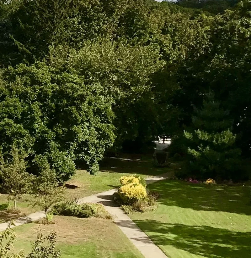 TBP garden aerial view